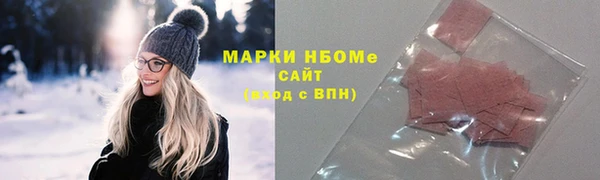 прущие грибы Алзамай