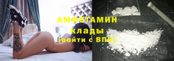 прущие грибы Алзамай