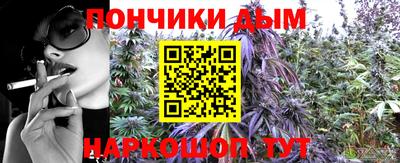 спайс Малгобек