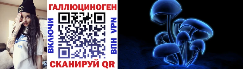 Галлюциногенные грибы Psilocybine cubensis  где продают наркотики  Волгоград 